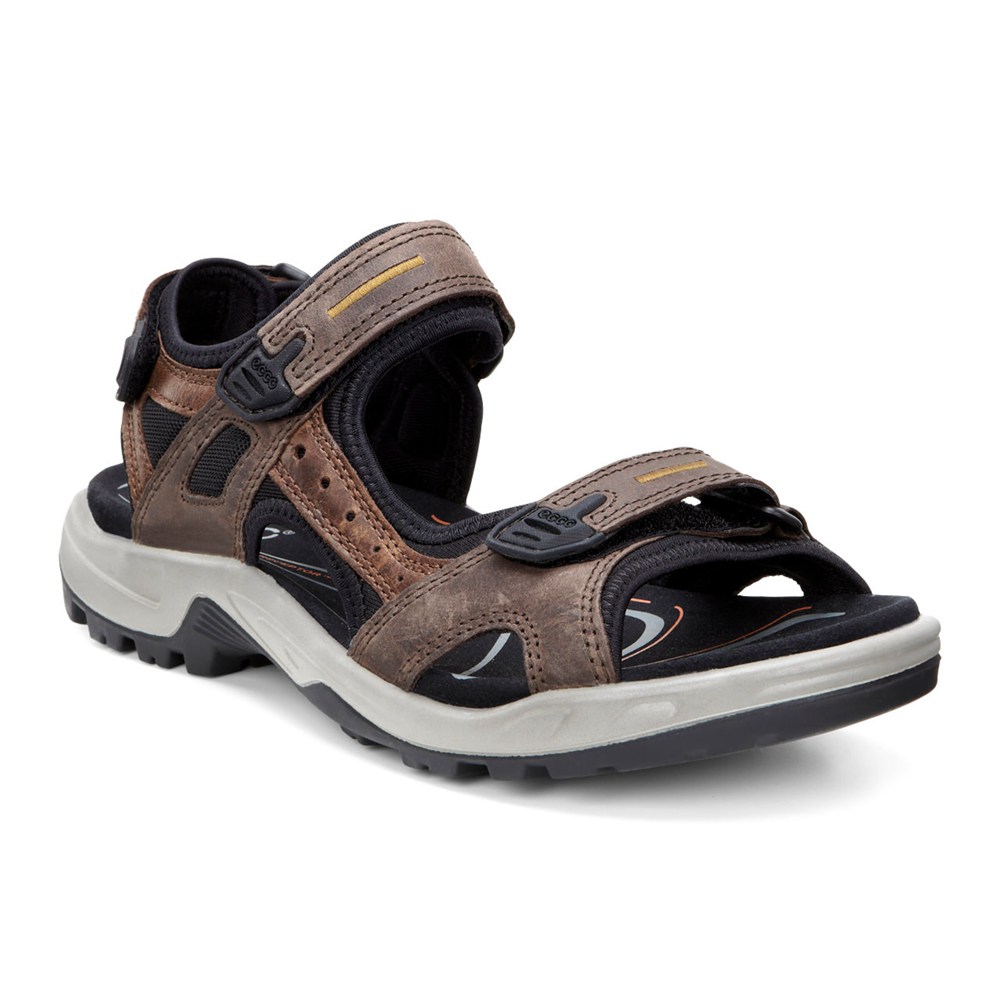 ECCO Mens Sandals Brown/Black - Yucatan - YMA-269071